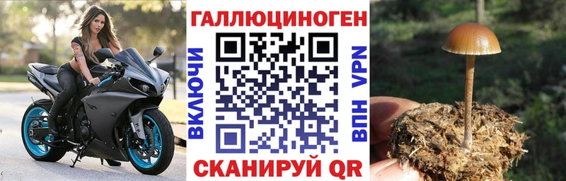 Псилоцибиновые грибы Magic Shrooms  Новое Девяткино 
