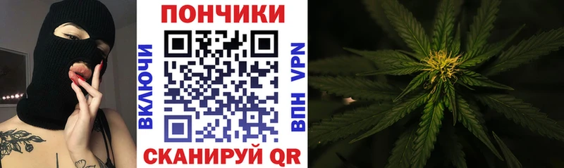 OMG зеркало  Новое Девяткино  Канабис ГИДРОПОН 